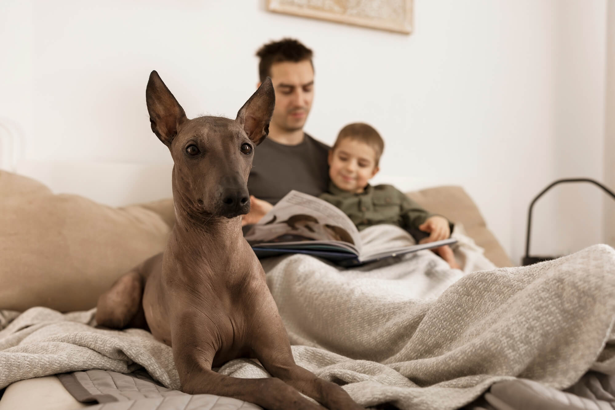 Jak vybrat vhodného psa do rodiny s alergikem?