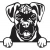 Boxer 2