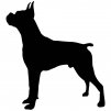 Boxer 3
