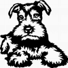 Knírač 3