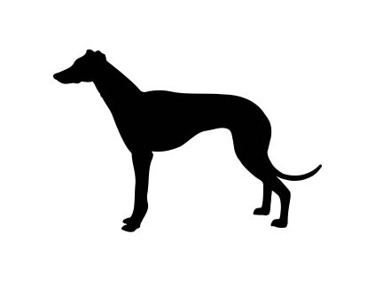 Whippet 1 dřevěná dekorace na zeď