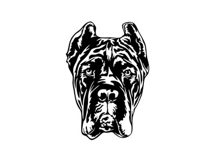 Cane corso 2 dřevěná dekorace na zeď