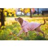 Dino mikina pro psa s kapucí - obleček pro psa - vseporpejska.cz