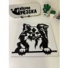Čivava 5 dřevěná dekorace na zeď