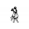 Jack Russell